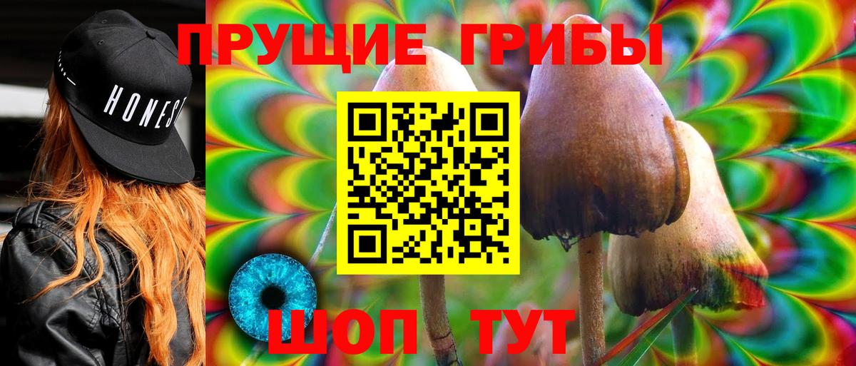 Галлюциногенные грибы GOLDEN TEACHER Апатиты